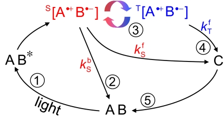 Fig. 1.