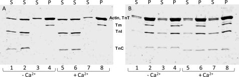 FIGURE 9.