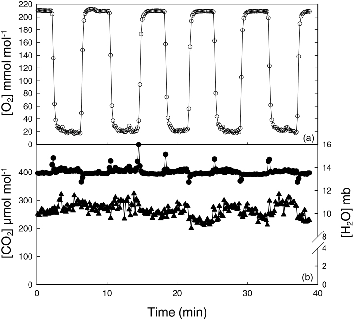 Fig. 2.