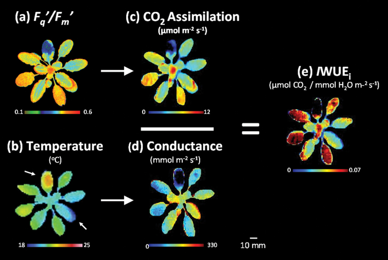 Fig. 3.