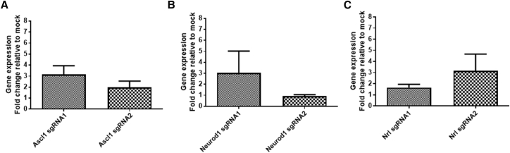 Figure 2