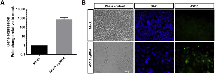 Figure 3