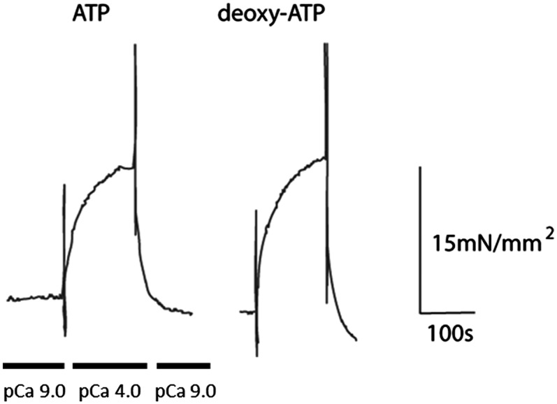 Fig. 4.