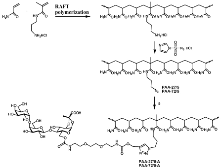 Scheme 5