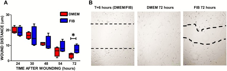 Fig 8