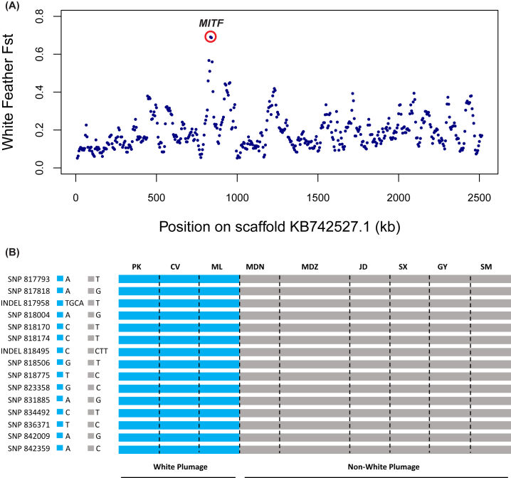 Figure 3: