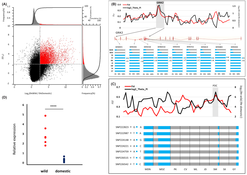 Figure 4: