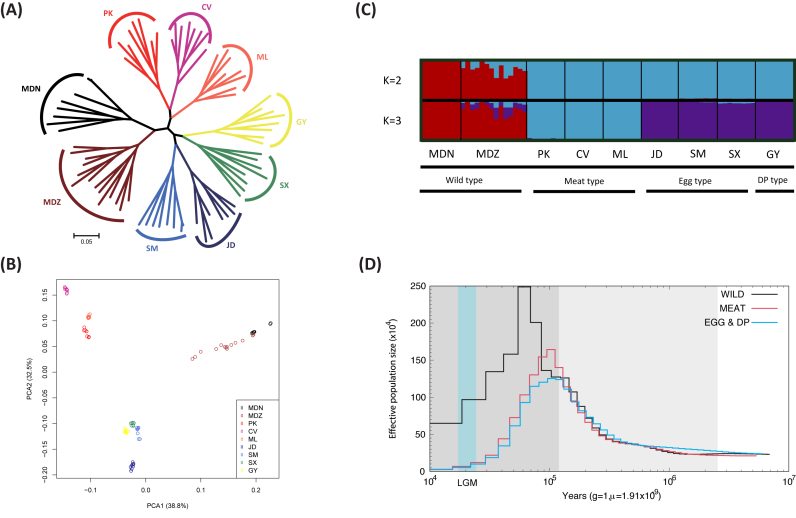 Figure 2: