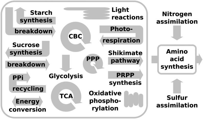 Figure 3.