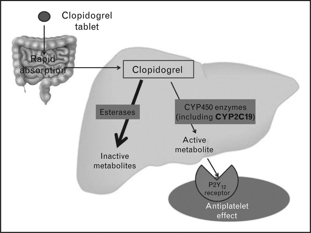 FIGURE 1