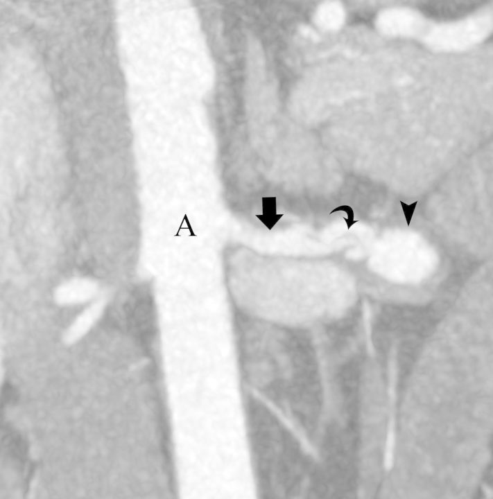 FIGURE 1: