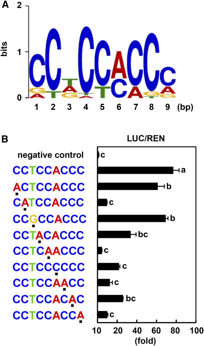 Figure 7.