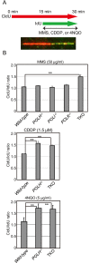 Fig 4