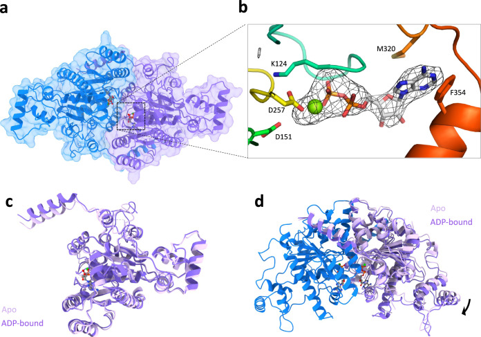 Fig. 2