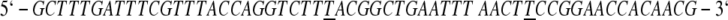 graphic file with name M3.gif