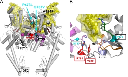 FIGURE 12.