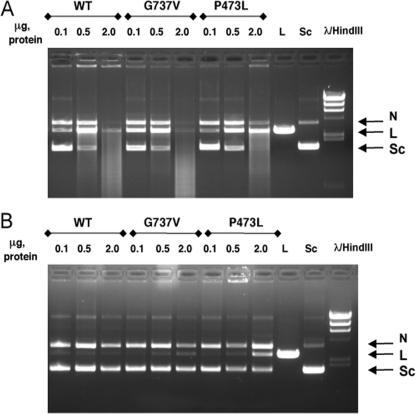 FIGURE 10.