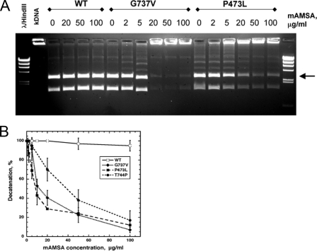 FIGURE 4.