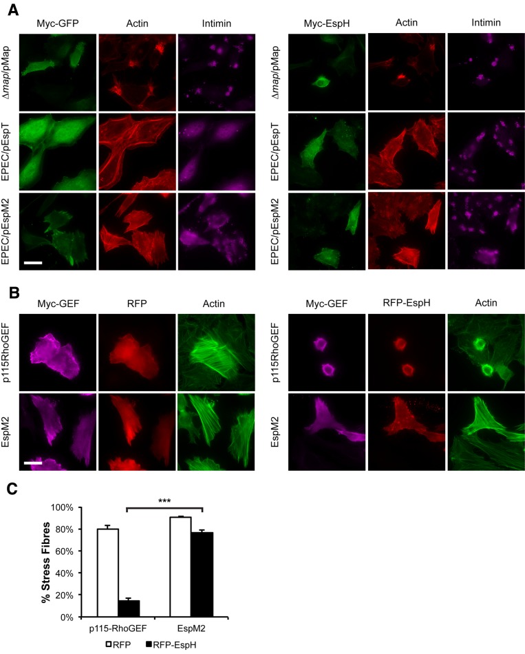 FIG 4 