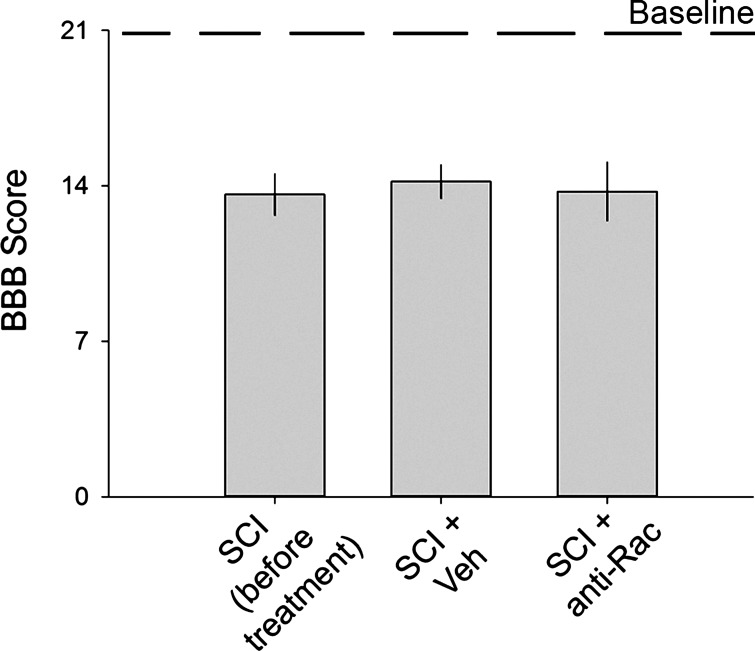 Fig. 10.