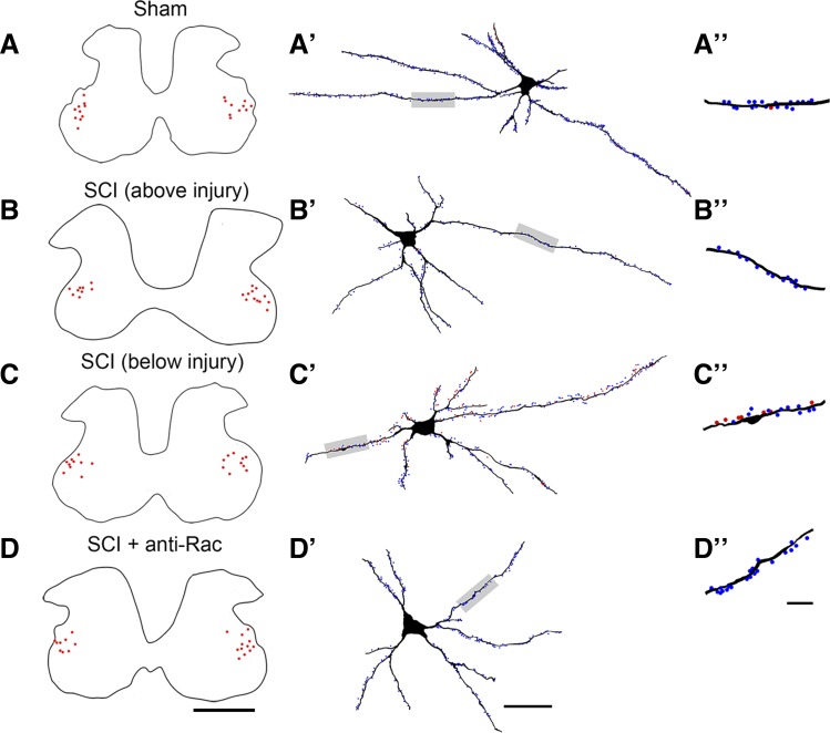 Fig. 4.