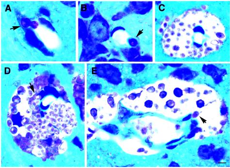 FIG. 6.