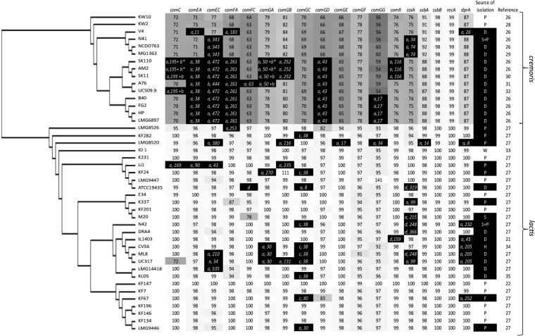 FIG 1