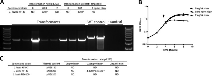 FIG 3