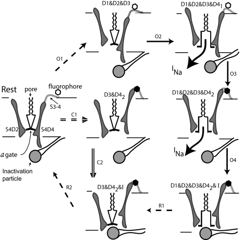 Fig. 6.