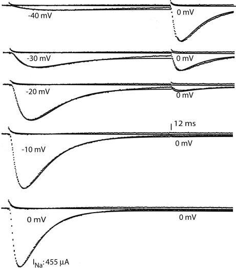 Fig. 5.