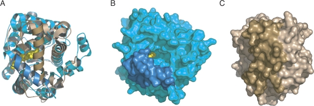 Figure 2.