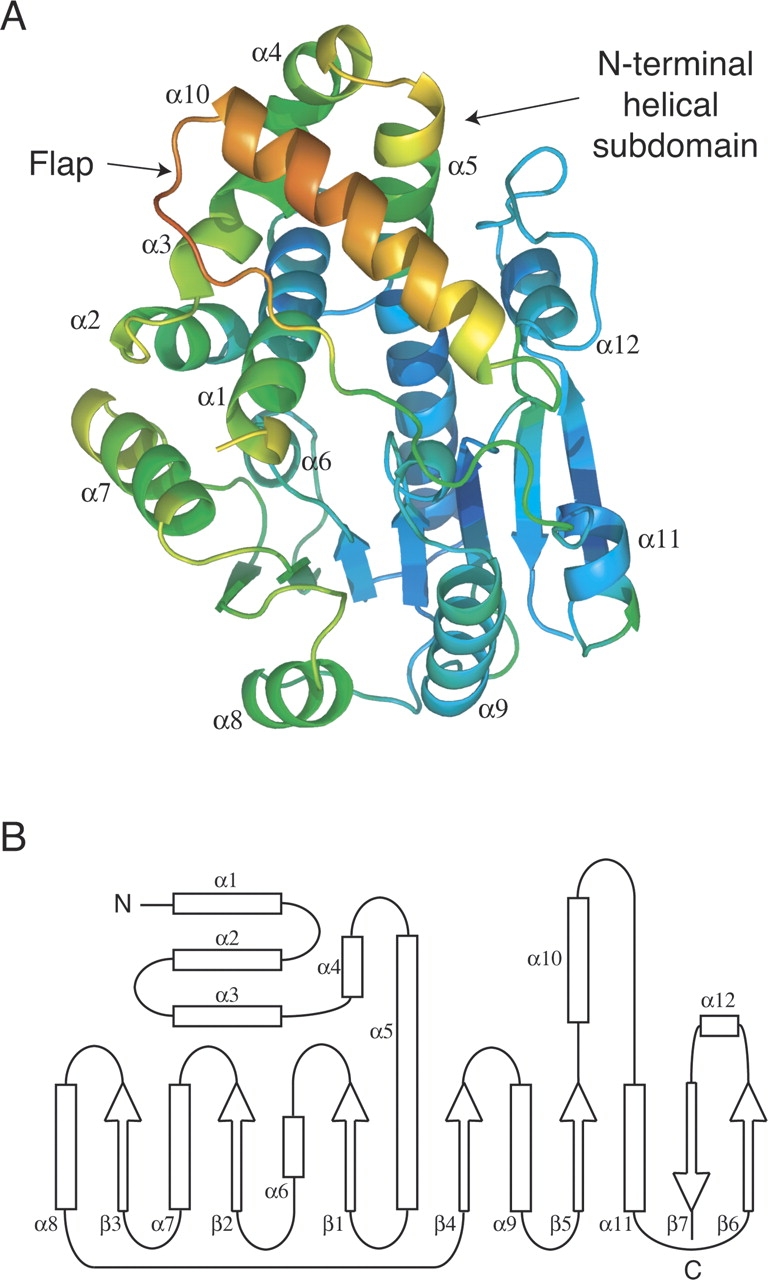 Figure 1.