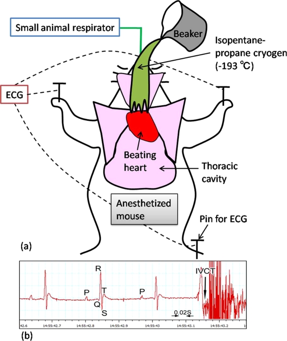 Fig. 2