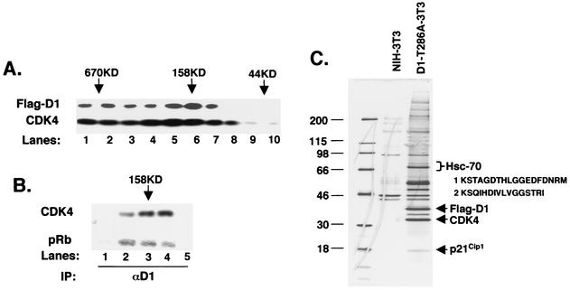 FIG. 1.