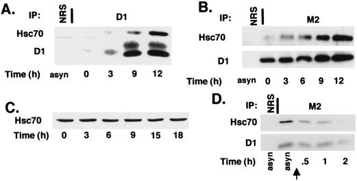 FIG. 2.