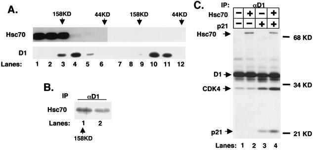 FIG. 5.