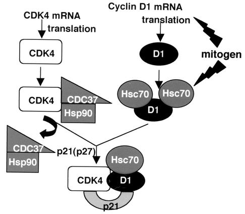 FIG. 7.