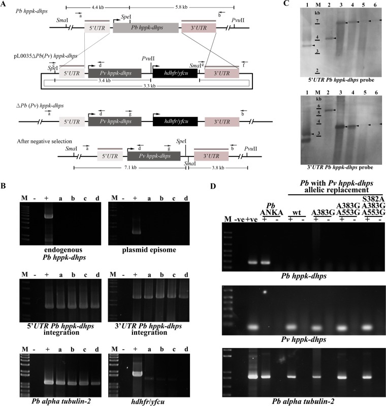 FIG 3