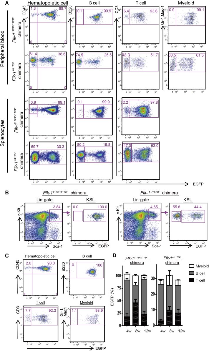 Figure 4