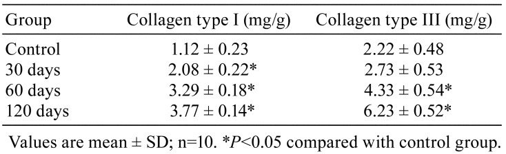 graphic file with name tox-32-253-t001.jpg