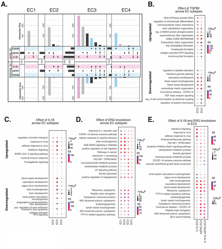 Figure 4 |