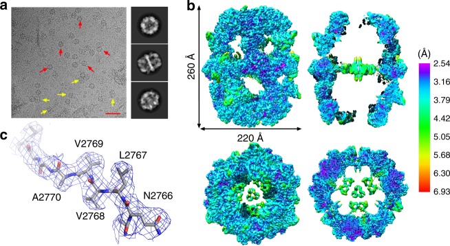 Fig. 1