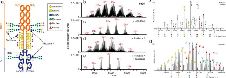 Figure 23