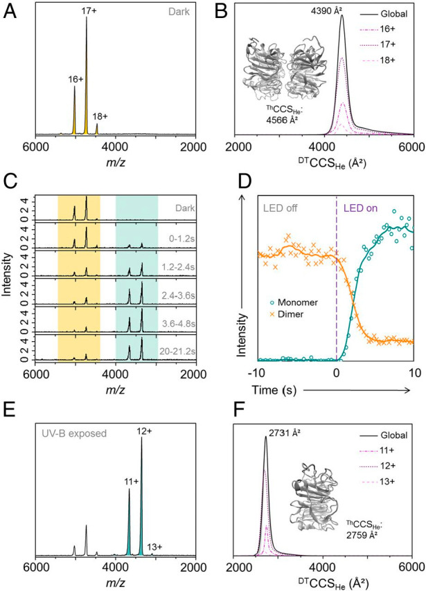 Figure 18