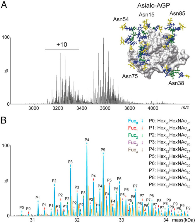 Figure 24