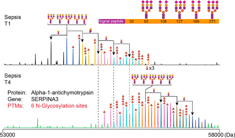 Figure 25