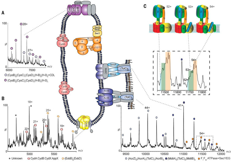 Figure 19