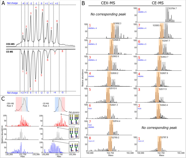 Figure 21