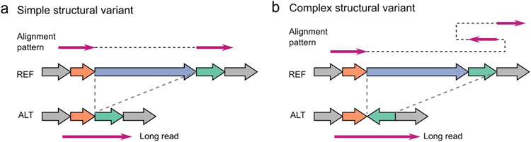 Extended Data Fig. 1 ∣