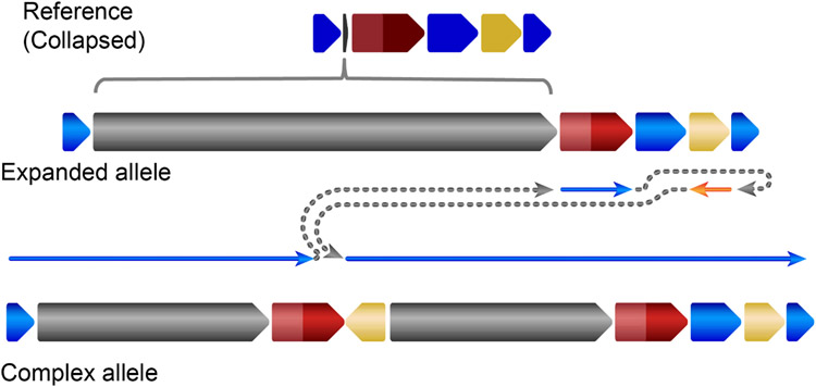 Extended Data Fig. 7 ∣